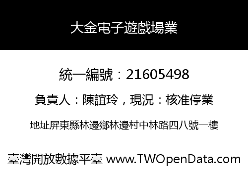 大金電子遊戲場業
