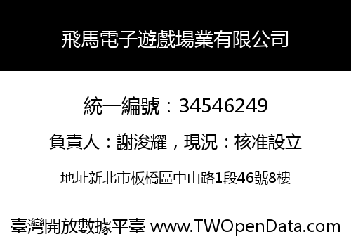 飛馬電子遊戲場業有限公司