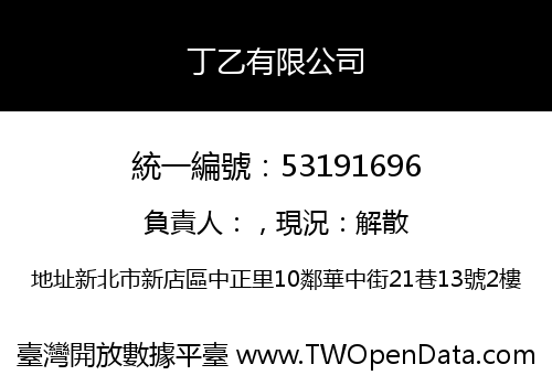 丁乙有限公司