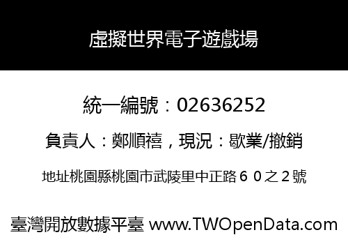 虛擬世界電子遊戲場