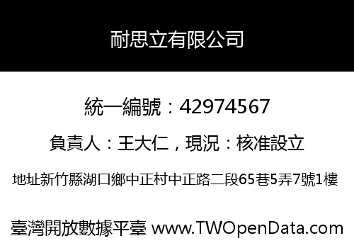 耐思立有限公司