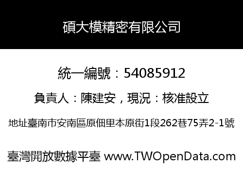 碩大模精密有限公司