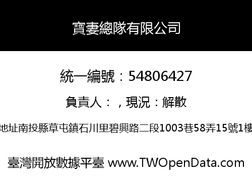寶妻總隊有限公司