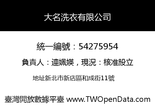 大名洗衣有限公司