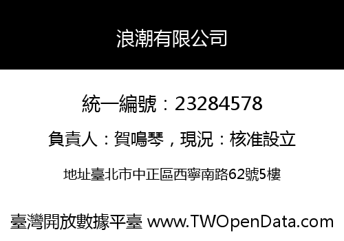 浪潮有限公司