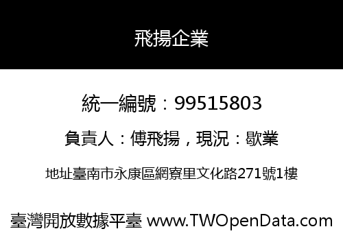 飛揚企業