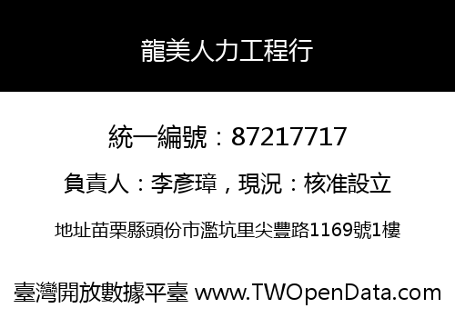 龍美人力工程行