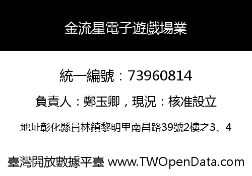 金流星電子遊戲場業