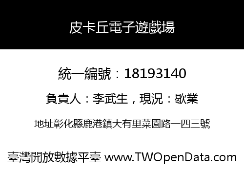 皮卡丘電子遊戲場