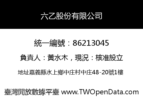 六乙股份有限公司