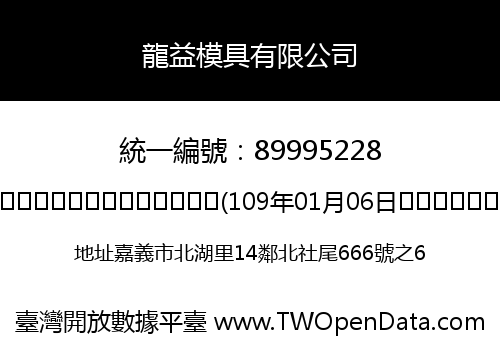 龍益模具有限公司