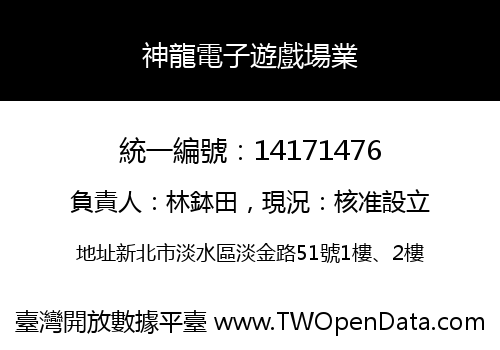 神龍電子遊戲場業