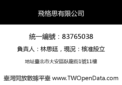 飛格思有限公司