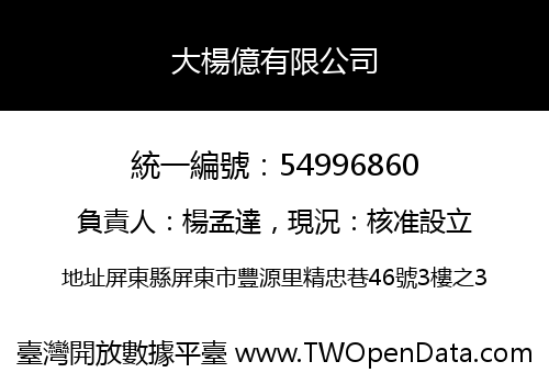 大楊億有限公司