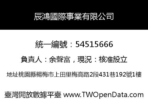 辰鴻國際事業有限公司