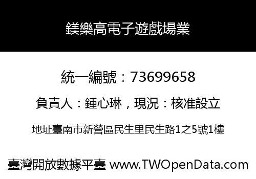 鎂樂高電子遊戲場業
