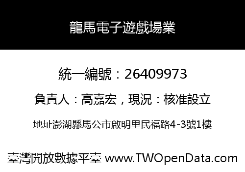 龍馬電子遊戲場業