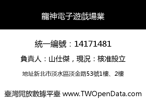 龍神電子遊戲場業