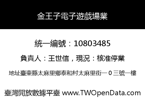 金王子電子遊戲場業