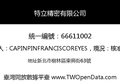 特立精密有限公司