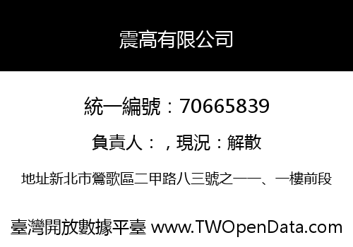 震高有限公司