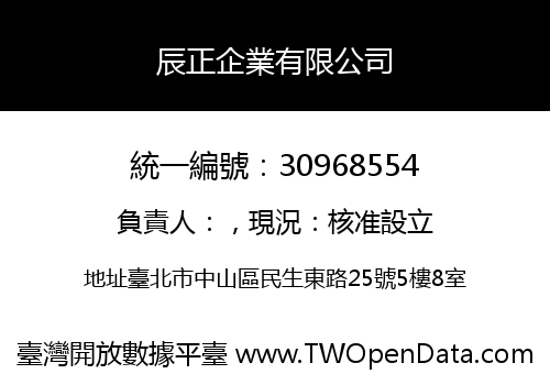 辰正企業有限公司