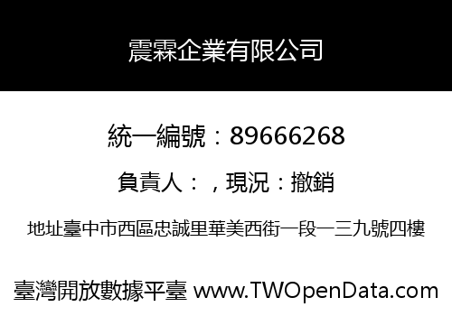 震霖企業有限公司