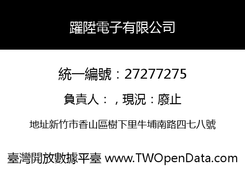 躍陞電子有限公司
