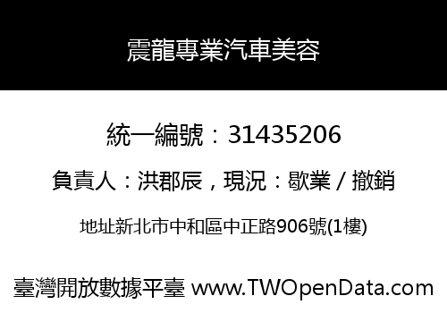 震龍專業汽車美容