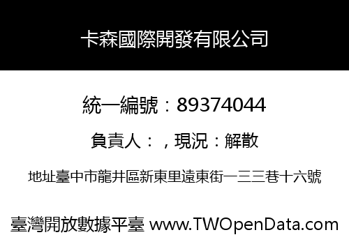 卡森國際開發有限公司