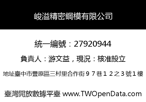 峻溢精密鋼模有限公司
