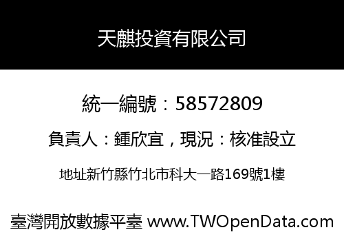 天麒投資有限公司