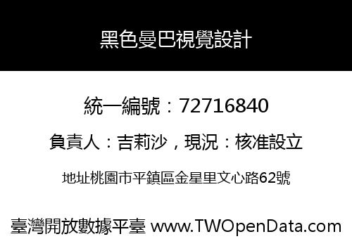 黑色曼巴視覺設計