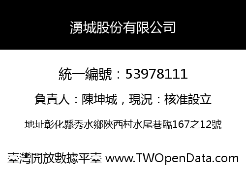 湧城股份有限公司
