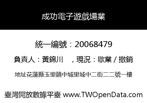 成功電子遊戲場業