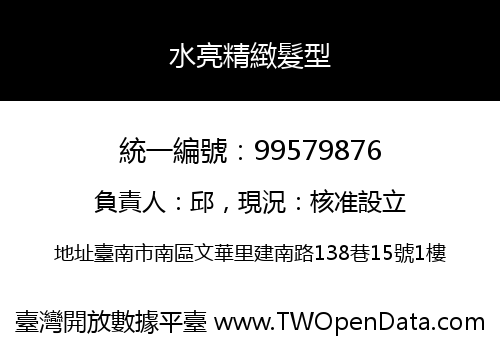 水亮精緻髮型