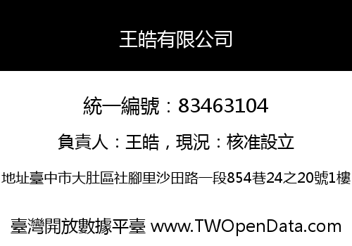 王皓有限公司