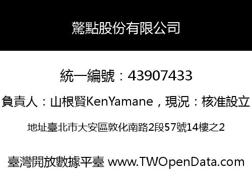 驚點股份有限公司