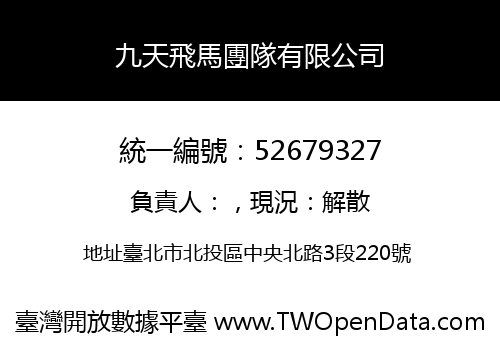 九天飛馬團隊有限公司
