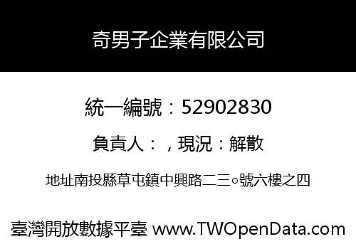 奇男子企業有限公司