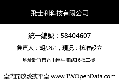 飛士利科技有限公司