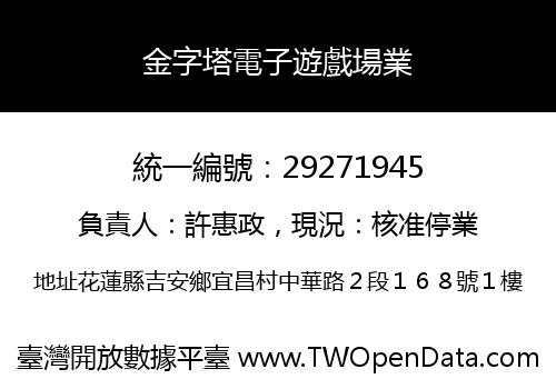 金字塔電子遊戲場業