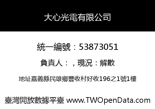 大心光電有限公司