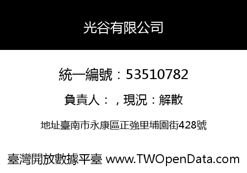 光谷有限公司
