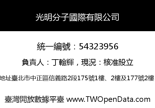 光明分子國際有限公司