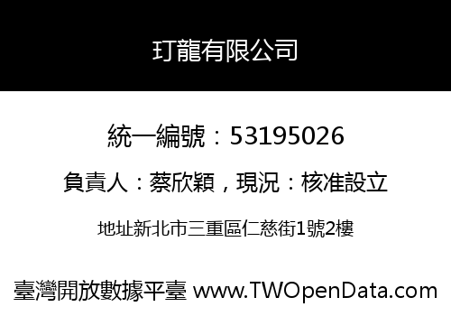 玎龍有限公司