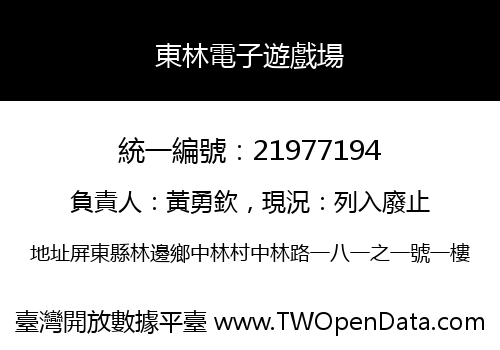 東林電子遊戲場
