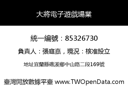 大將電子遊戲場業