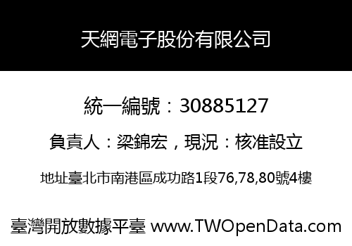 天網電子股份有限公司