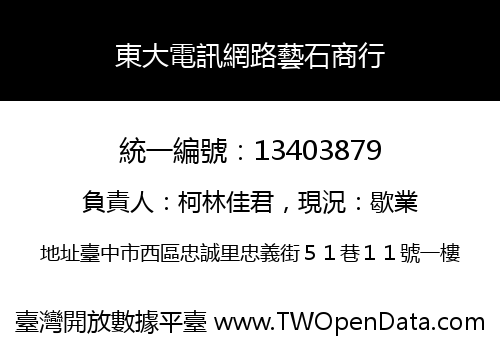 東大電訊網路藝石商行